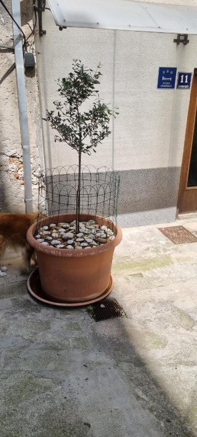 שיבניק Apartment Nana 1 מראה חיצוני תמונה