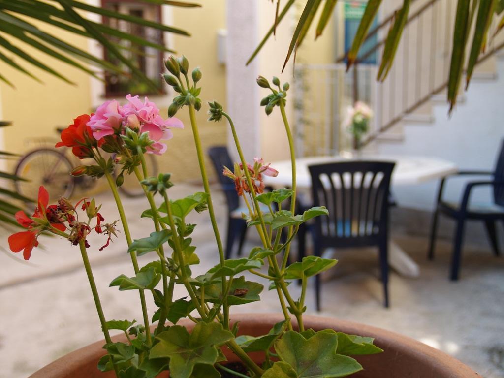 שיבניק Apartment Nana 1 מראה חיצוני תמונה